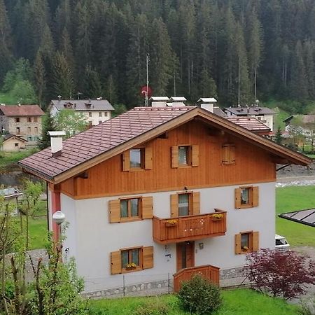 B&B Il Tulipano San Pietro di Cadore Ngoại thất bức ảnh