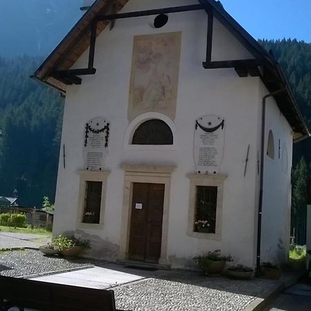 B&B Il Tulipano San Pietro di Cadore Ngoại thất bức ảnh