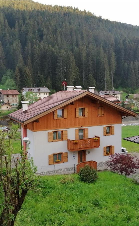 B&B Il Tulipano San Pietro di Cadore Ngoại thất bức ảnh