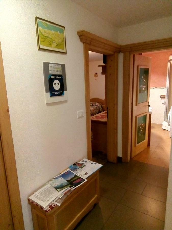 B&B Il Tulipano San Pietro di Cadore Ngoại thất bức ảnh