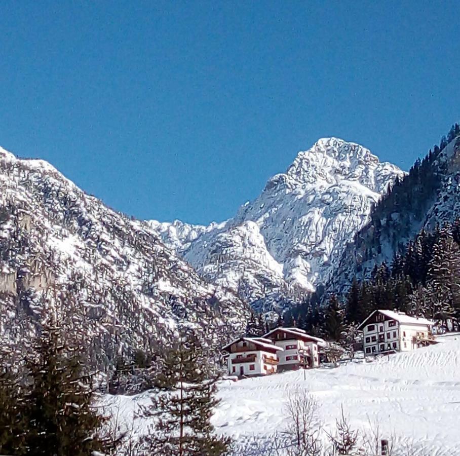 B&B Il Tulipano San Pietro di Cadore Ngoại thất bức ảnh