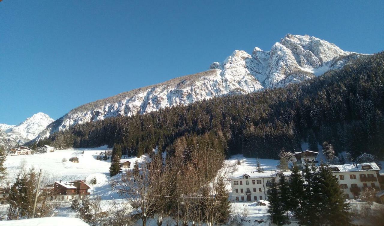 B&B Il Tulipano San Pietro di Cadore Ngoại thất bức ảnh