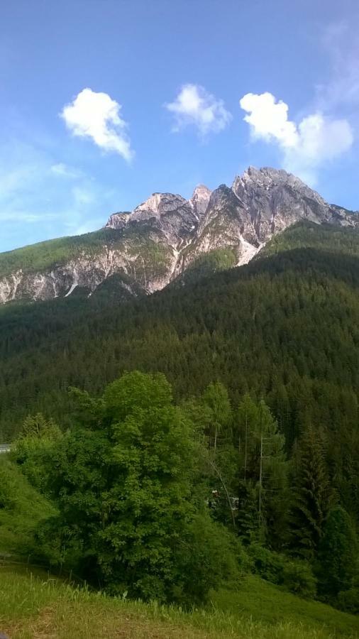 B&B Il Tulipano San Pietro di Cadore Ngoại thất bức ảnh