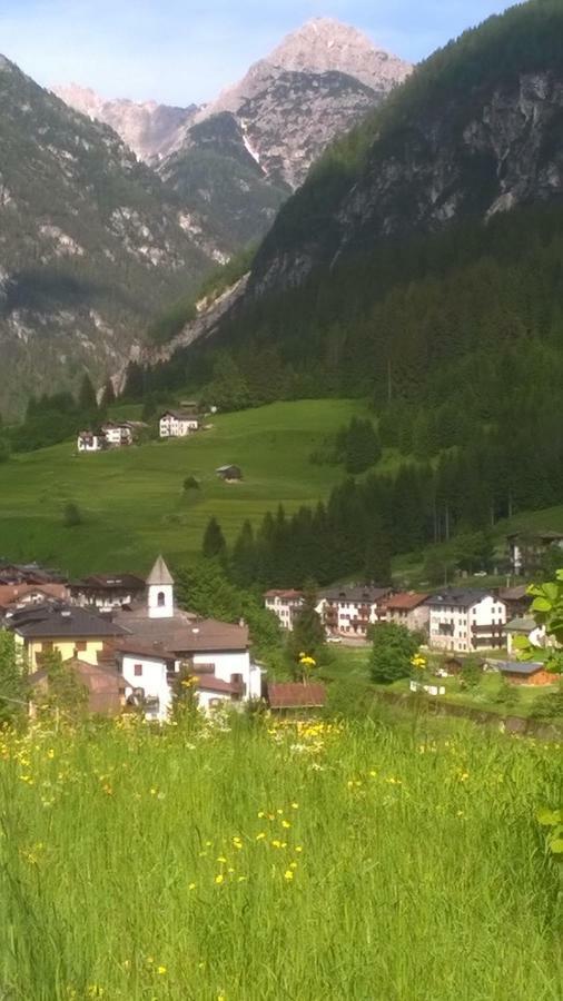 B&B Il Tulipano San Pietro di Cadore Ngoại thất bức ảnh