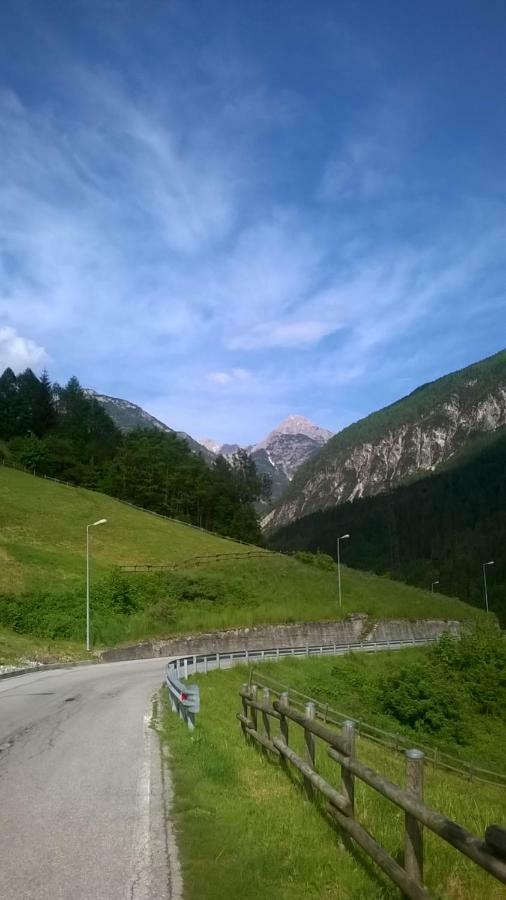 B&B Il Tulipano San Pietro di Cadore Ngoại thất bức ảnh